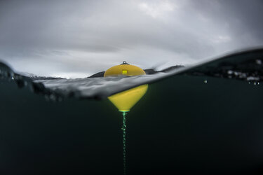 Polyform VP29034 POLYFORM BIG BUOYS trolltegn low